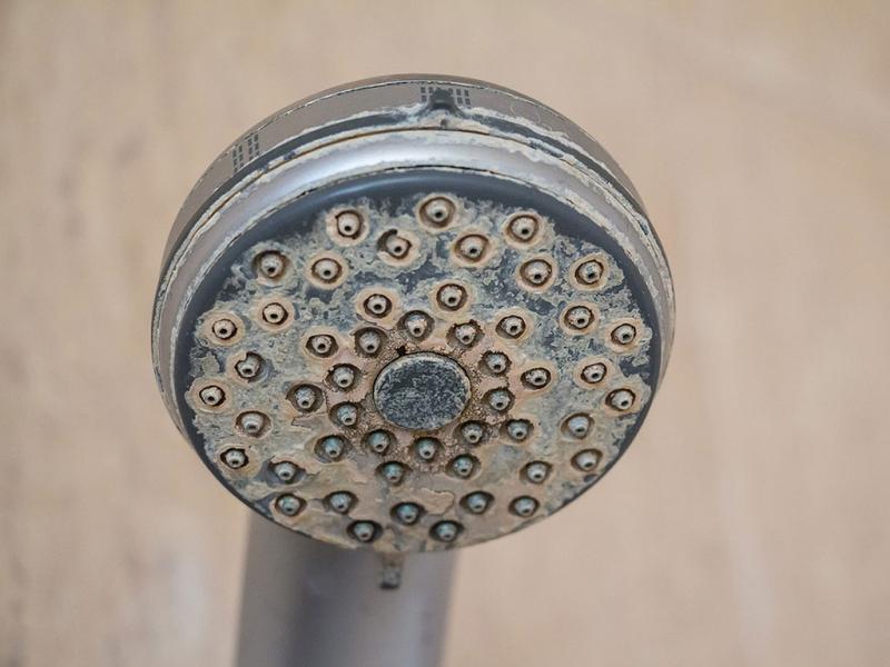 Hard water scale buildup on a shower head